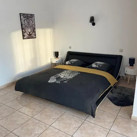 Del Catalunya Perpignan